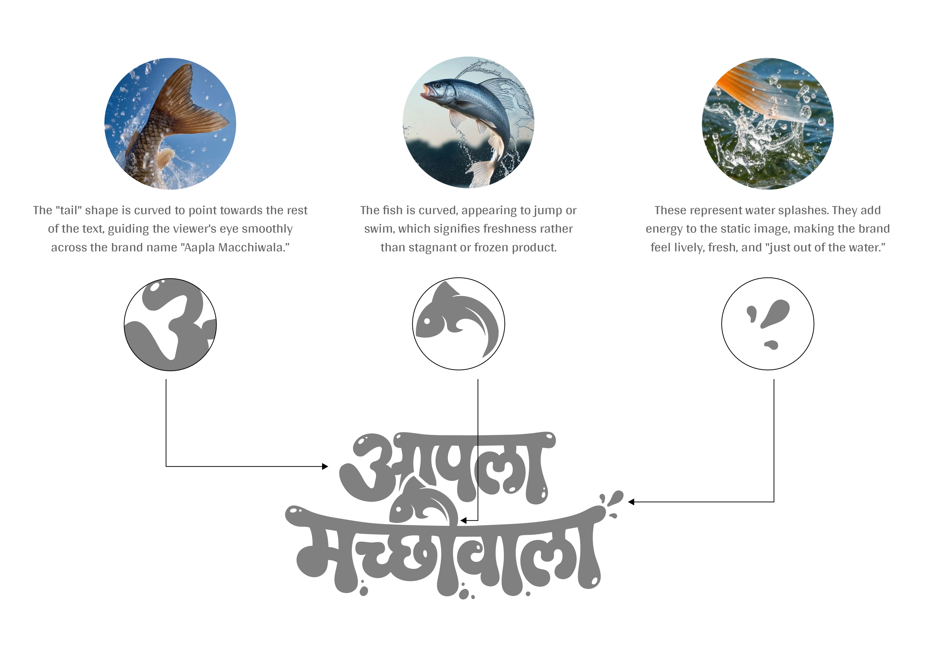 Aapla Macchiwala logo concept, the fish tail, jumping fish, and water splashes built into the Marathi wordmark