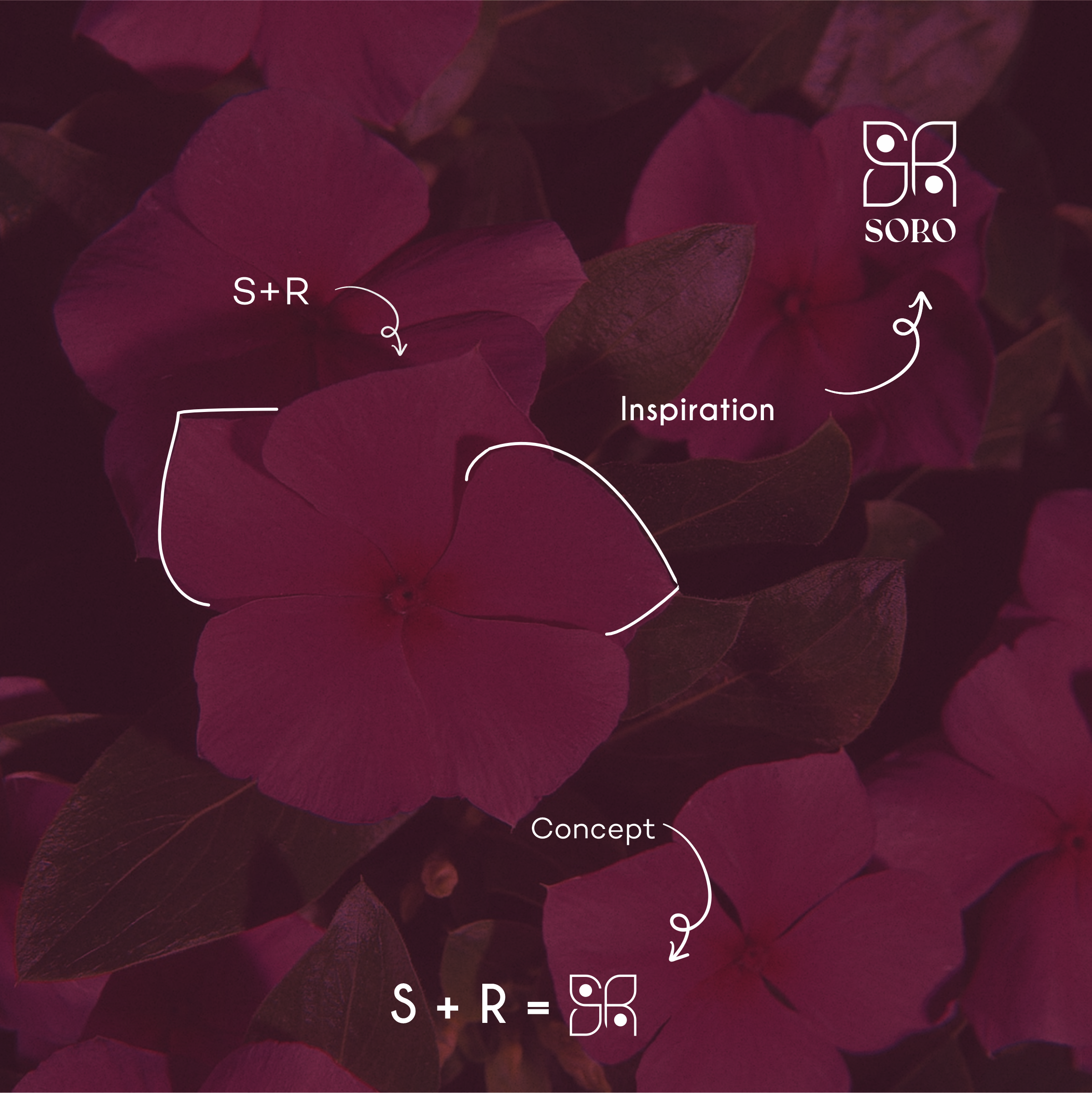 Soro logo concept, the periwinkle bloom forming the S+R monogram